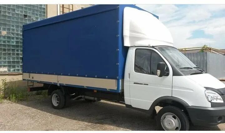 ГАЗЕЛЬ УДЛИНЕННАЯ